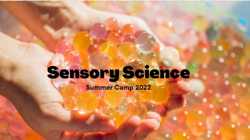Summer Camp 2022: Sensory Science Camp