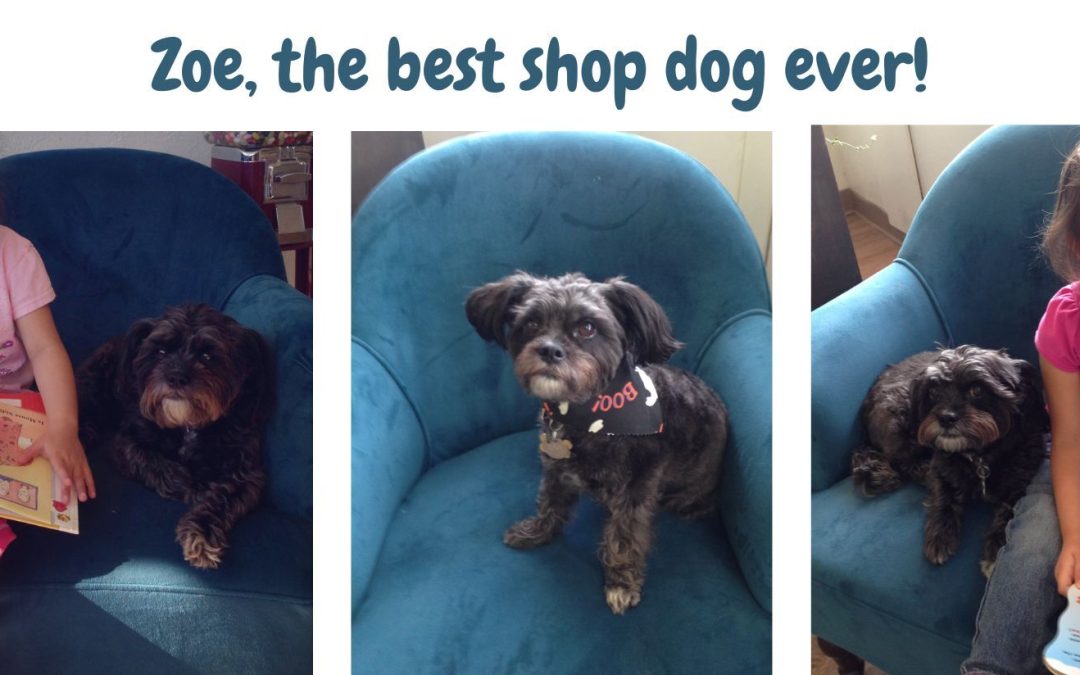 In Loving Memory of Zoe, Our Shop’s Best Friend